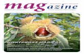 MAGazine nº7 - Outono 2012