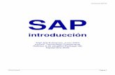 SAP - Introducción