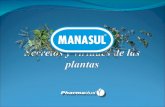 Infusiones Manasul calidad Pharmadus