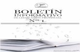 Boletin Informativo Provincial Nº1