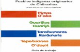 Pueblos indigenas originarios de chihuahua