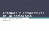Enfoques y perspectivas de la sociología