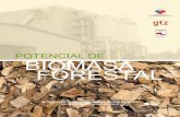 Potencial de Biomasa Forestal en Chile