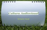 Cultura Audiovisual ''Sintaxis visual''