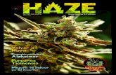 Revista HAZE 2