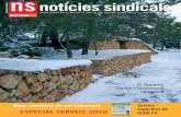 Not­cies Sindicals - Especial Serveis 2010
