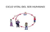 Ciclo vital del ser humano 03 09 13[1]
