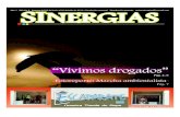 Revista Sinergias Edición 2 junio-julio de 2010