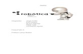 2013 8A Electrochips 14 Informe Robótica