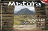 Revista Mistura Nº 19