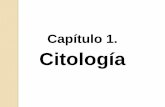 GENETICA - CAPITULO 1: CITOLOGIA