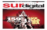 Diario Sur digital Nro.347 - Abril 2011
