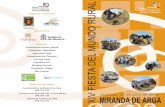 Miranda de arga 2013 folleto
