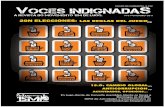 Voces Indignadas NOVIEMBRE 2011