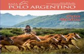 Polo Argentino N°17
