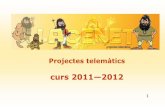 LaceNet 2011-12