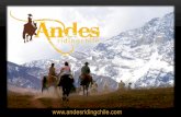 Andes Riding  Chile