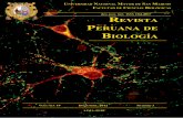 Revista Peruana de Biología v19n3