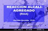 REACTIVIDAD ALCALI AGREGADO