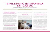 Epilepsia idiopatica en gatos, diagnostico y tratamiento