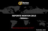 Reporte Norton 2013 -México-