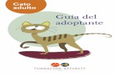 Guía del adoptante: Gato adulto