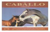 Revista El Caballo Español 1996, n.113