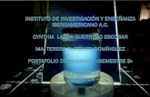 Instituto de investigación y enseñanza iberoamericano a [autoguardado]