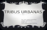 Presentacion tribus urbanas 2