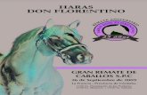 Haras Don Florentino - REMATE 2009