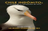 CHILE INDÓMITO - Número 9 - Marzo 2014 - EDICIÓN ESPECIAL