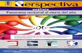 Revista Perspectiva Dic 2007