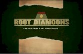 Root Diamoons - Dossier de prensa