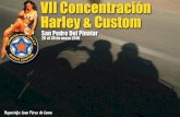 VII CONCENTRACION HARLEY & CUSTOM