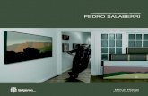 Pedro Salaberri. Conversaciones con artistas navarros