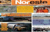 Periódico Noreste de Guanajuato edición 618