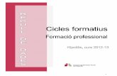 Recull de dades de cicles formatius al Ripollès, curs 2012-13