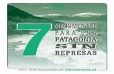 7 argumentos para una Patagonia Sin Represas