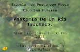 Anatomia de un Rio Truchero