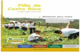 Revista Piña de Costa Rica