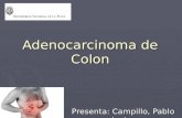 Adenocarcinoma de colon