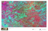 Grid A1 Mirador Basin Infrared Image and Maya Settlement