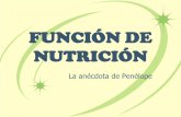 FUNCIÓN DE NUTRICIÓN Y FOTOSÍNTESIS