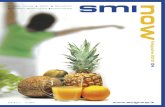 SMINOW Magazine   4- 2010 Spanish Version