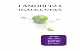 Lankidetza Ikaskuntza - Txostena