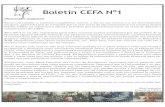 Boletín CEFA n°1