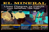 Revista El Mineral Nº10