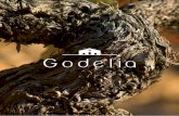 Catálogo Bodegas Godelia