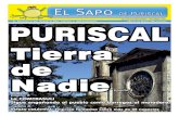 El Sapo de Puriscal, El periódico para el Puriscaleño edición 012-2013
