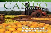 Actualidad del Campo Agropecuario. Edición diciembre 2012. Nº 138